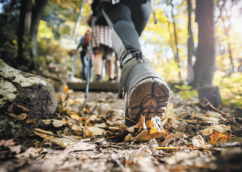 Wandelen voor meer vitaliteit