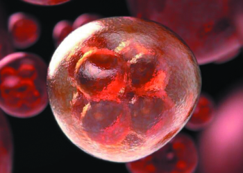 Lysosomale stapelingsziekten: Zeldzaam maar ingrijpend