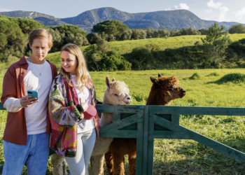 Allianz Direct biedt verzekeringen met uitgebreide dekking tegen scherpe premie. Makkelijk en snel geregeld.