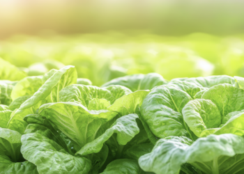 Een circulaire economie begint bij jouw keuzes