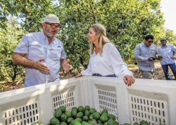 Groenten en fruit met smaak en duurzame impact