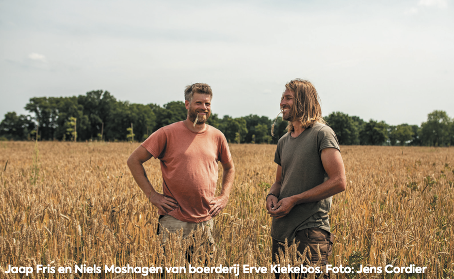 Lenteland: boerderijen waar het leven terugkeert