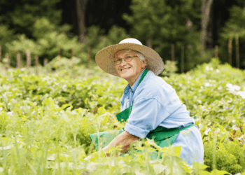 Goed gevoed ouder worden, vraagt ook om alert te zijn op ondervoeding