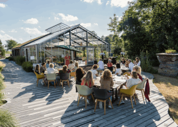 Groei van je organisatie begint in het groen van De Laape
