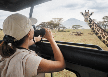 Ver weg is dichterbij dan ooit