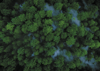 Doe mee aan de Week van de Circulaire Economie