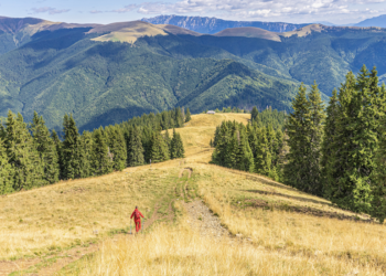 Reizigers kiezen voor minder ver en meer beleving