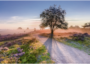 Heerlijk naar buiten, de zon in