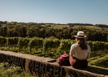 Vertragen tussen de heuvels: Zuid-Limburg als stukje buitenland in Nederland