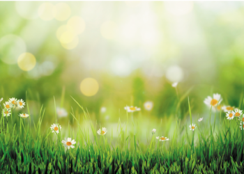 Nieuwe paden inslaan