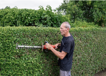 Goed gereedschap maakt het verschil in de tuin
